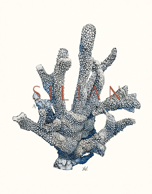 Coral Gesture Ⅵ