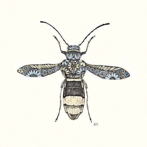 Insect Tale Ⅳ