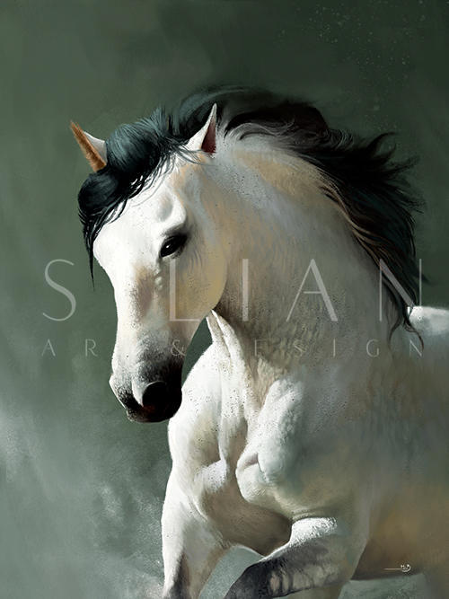 Gallop