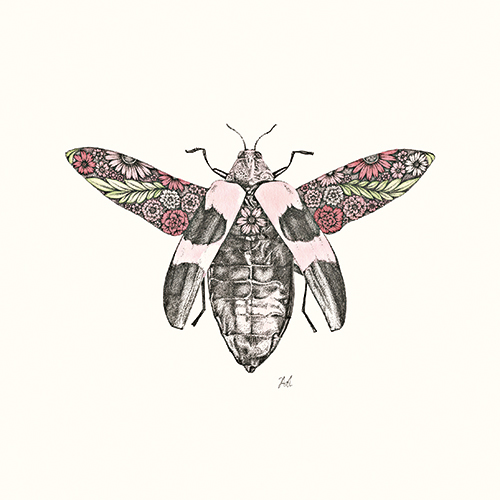 Insect Tale Ⅱ