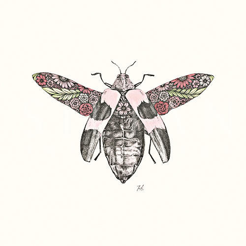 Insect Tale Ⅱ
