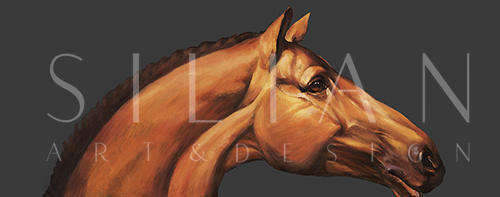 The Guess Of Horse