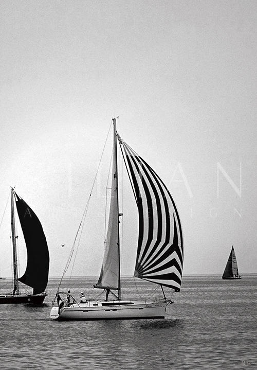 Sail Ⅳ