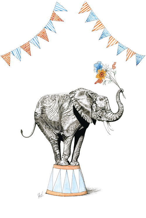 Elephants of Play Wheelbarrow Ⅴ