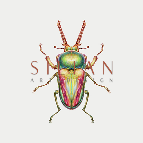 Wonderful Insect III