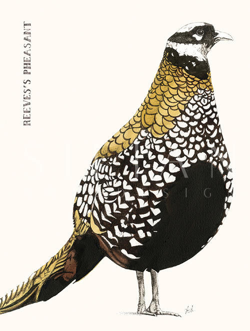 Cuckoo Cuckoo Ⅰ
