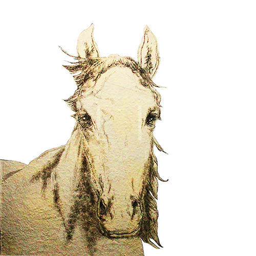 Golden Steed