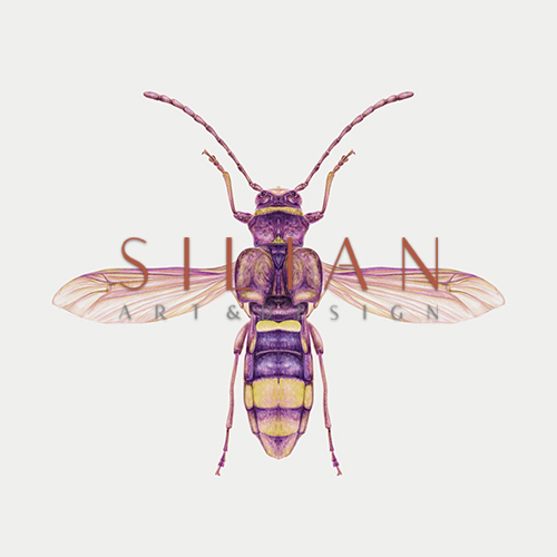 Wonderful Insect I