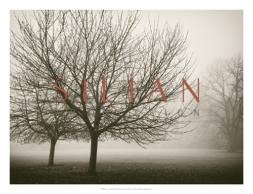 Trees In Fog VIII