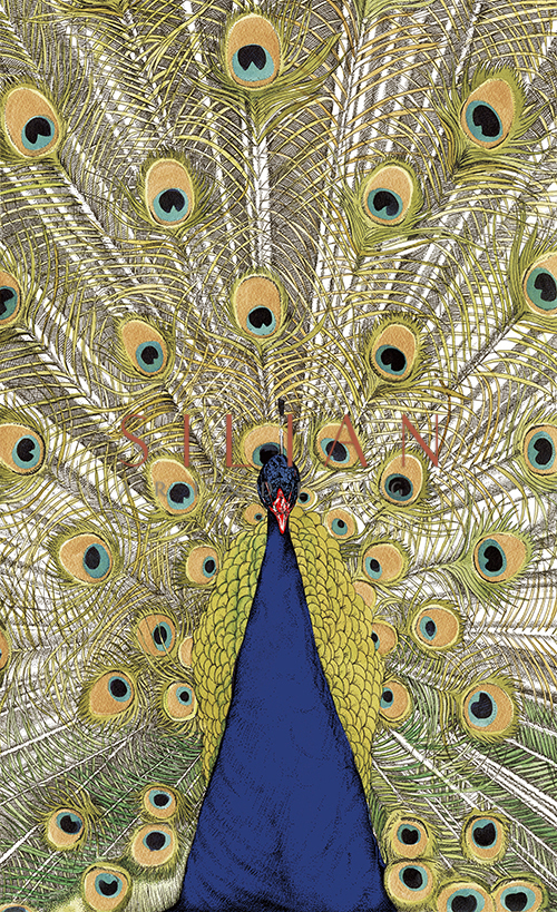 Peacock Open Screen