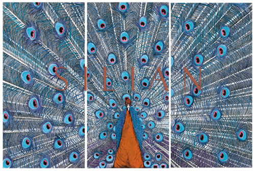 Peacock Painting
