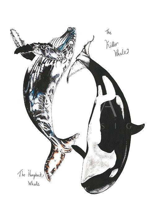 Whale Composition Ⅲ