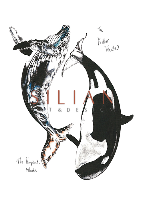 Whale Composition Ⅲ