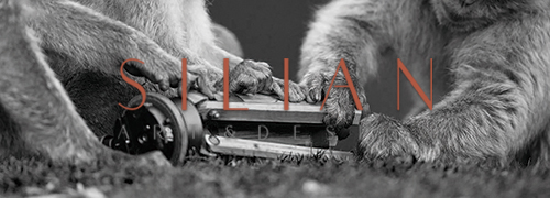 Canine Life VII