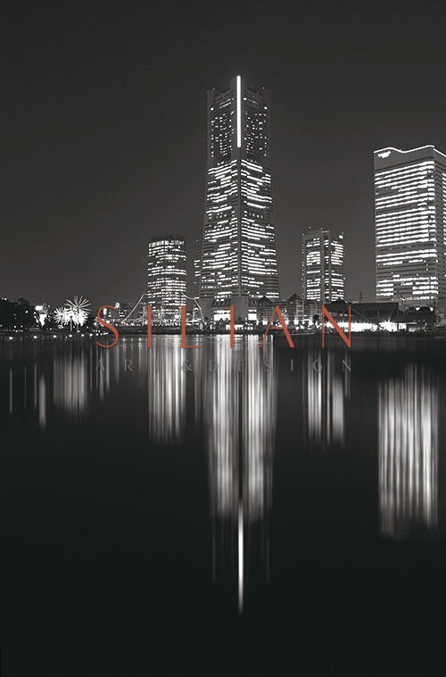 Black And White Architectural Landscape III