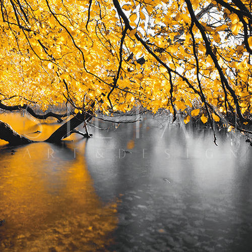 Autumn II