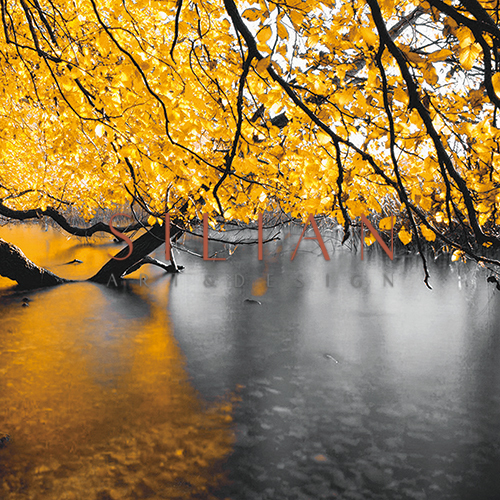 Autumn II
