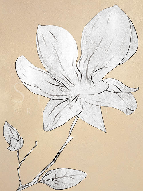 Blush Chinoiserie I