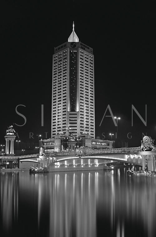 Black And White Architectural Landscape IV