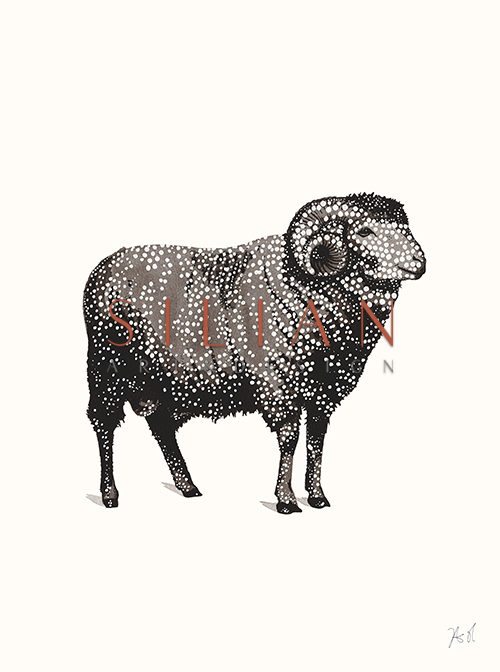 Paty Animal Ⅱ