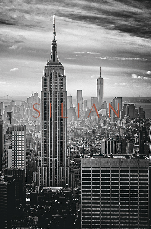 Black And White Architectural Landscape I