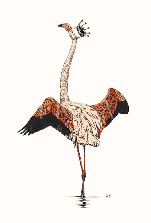 Flamingo Ⅵ