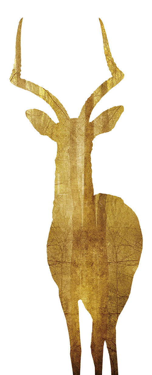 Deco Deer V