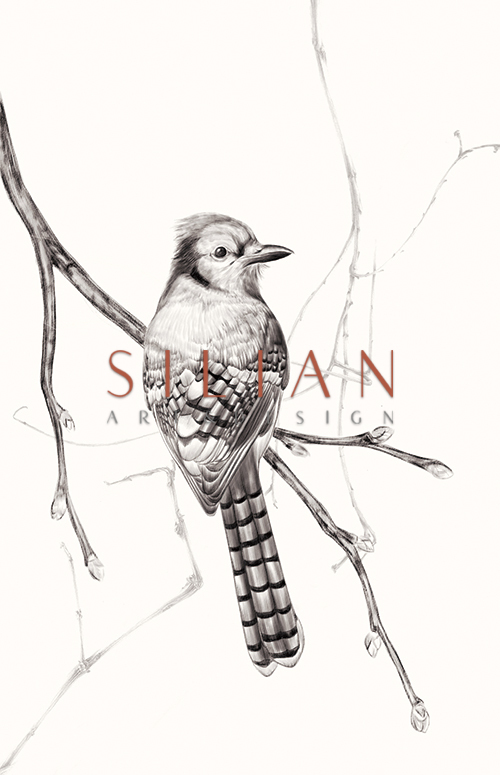 Birds On Branch I