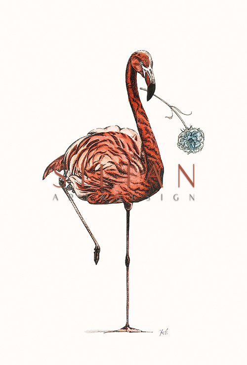 Flamingo Ⅳ
