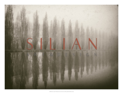 Trees In Fog V