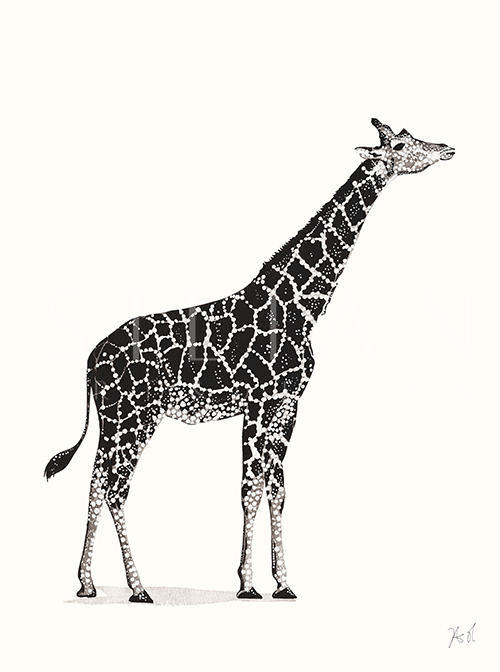 Paty Animal Ⅲ