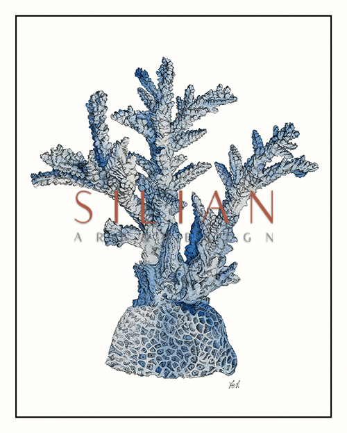 Seaweed Composition VI