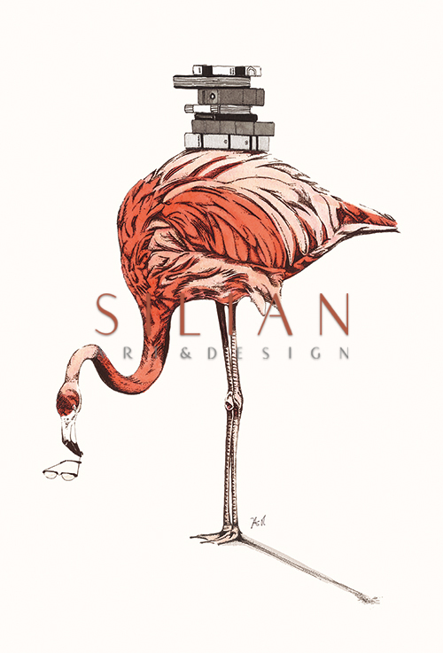Flamingo Ⅴ