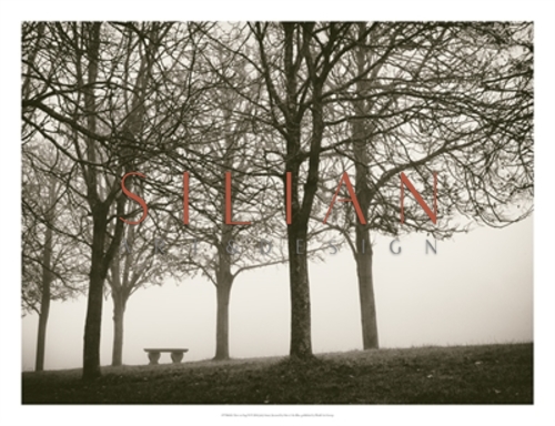Trees In Fog VI