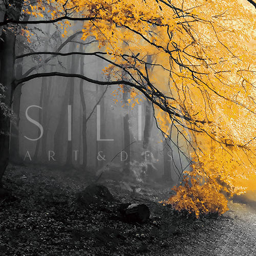 Autumn I