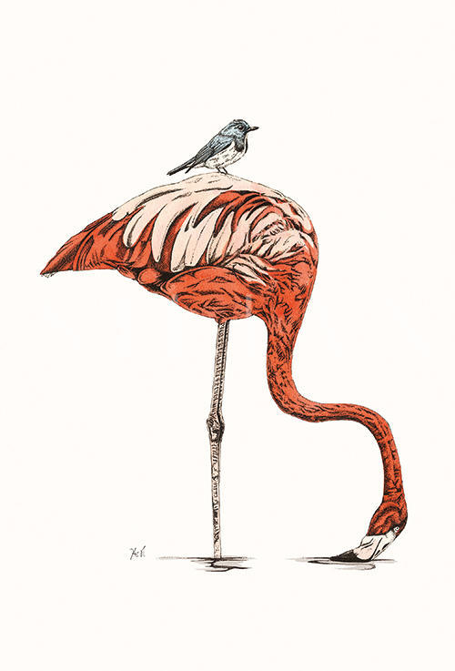 Flamingo Ⅶ
