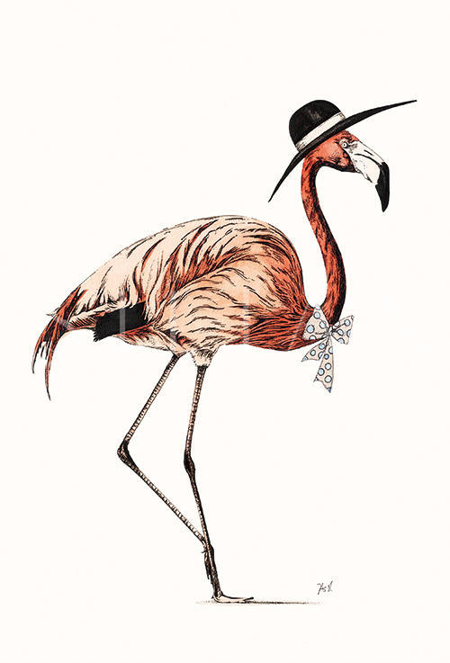 Flamingo Ⅷ