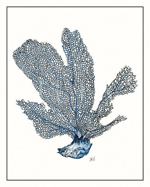 Seaweed Composition V