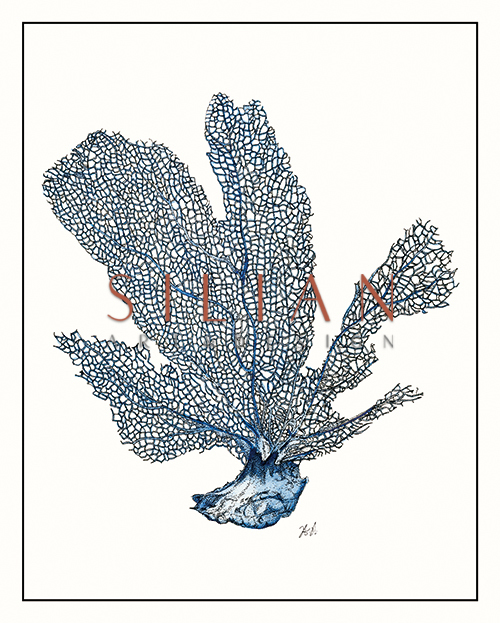 Seaweed Composition V