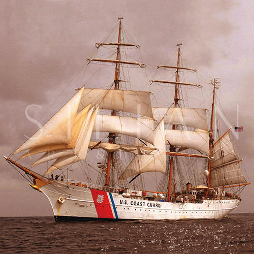 Sailing Combination Painting