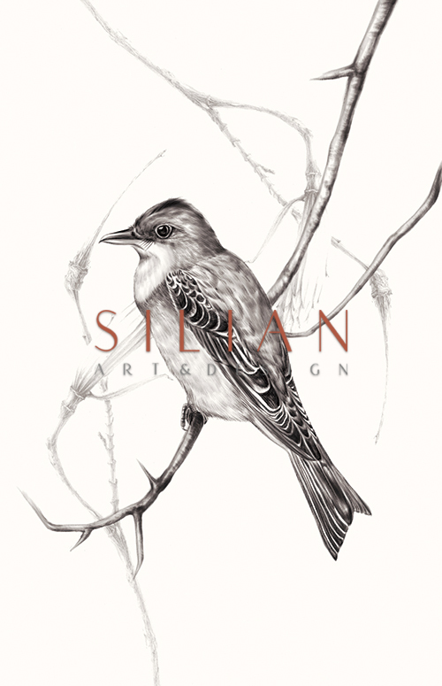 Birds On Branch Ⅱ