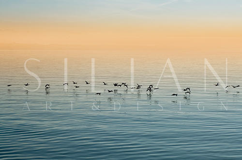 Natural Landscape IV