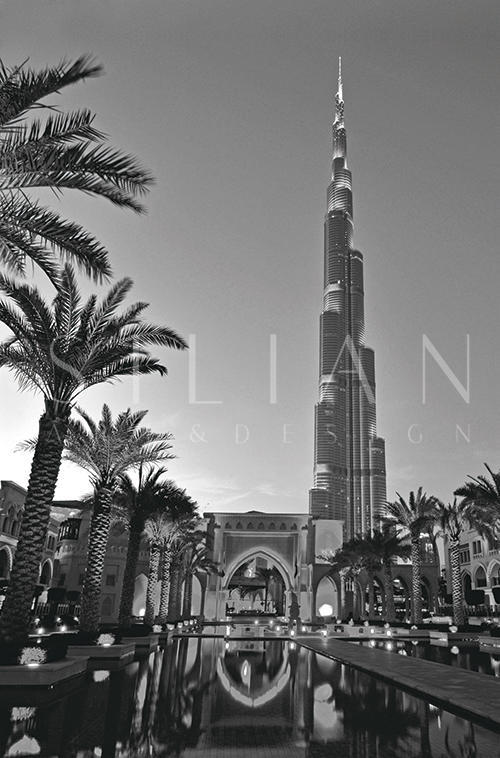 Black And White Architectural Landscape V