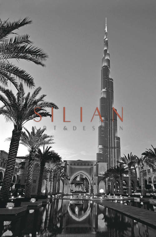 Black And White Architectural Landscape V
