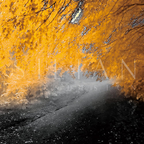 Autumn III