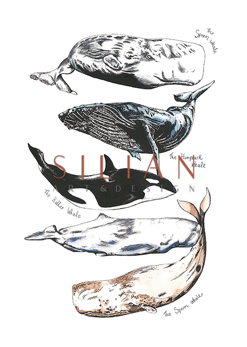 Whale Composition Ⅱ