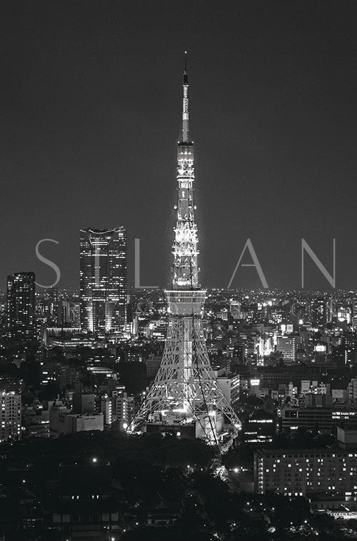 Black And White Architectural Landscape VI