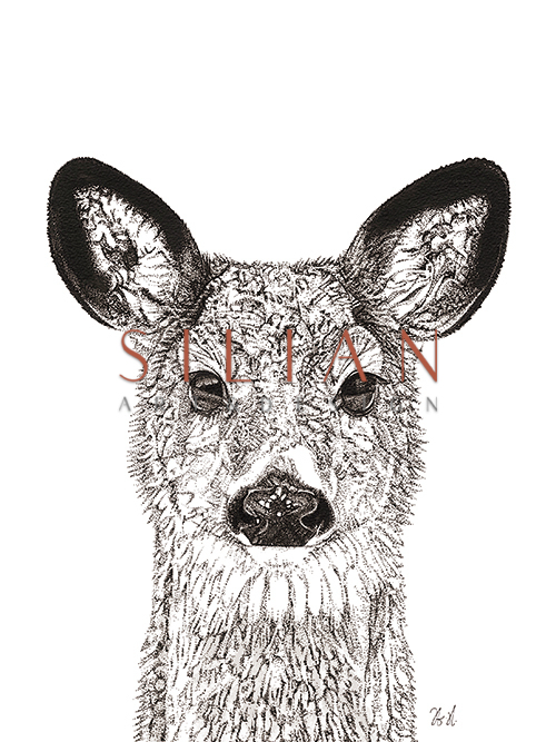 Animal Close Up II 