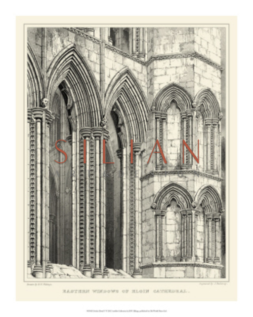 Gothic Detail V