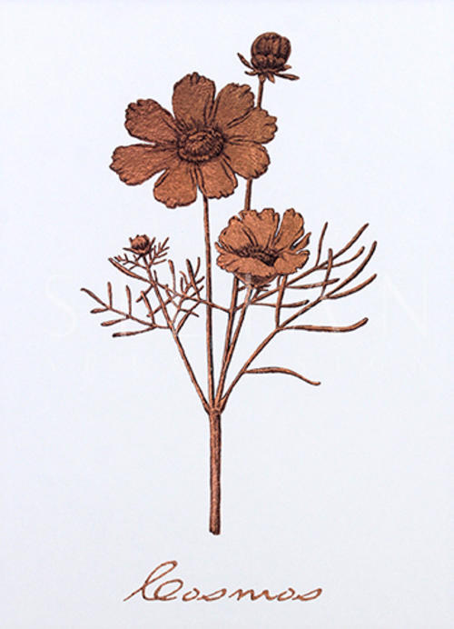 玫瑰金花 VI